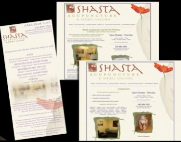 Website and rack cards for Shasta Acupuncture, Klamath Falls, OR. (2009 -2010)